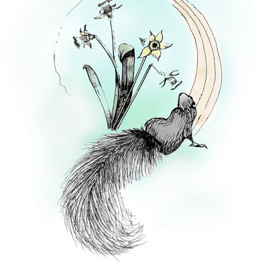 Squirrel / Spring