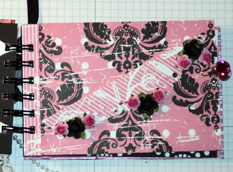 Baby Girl Mini Album (non-traditional)