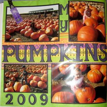 my pumpkins