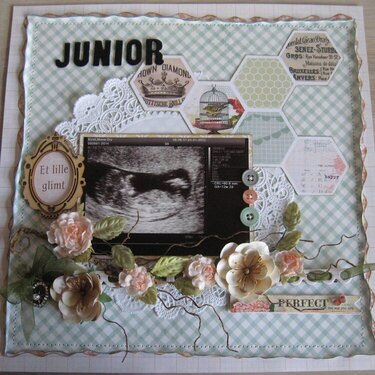 Junior  The first Glimse