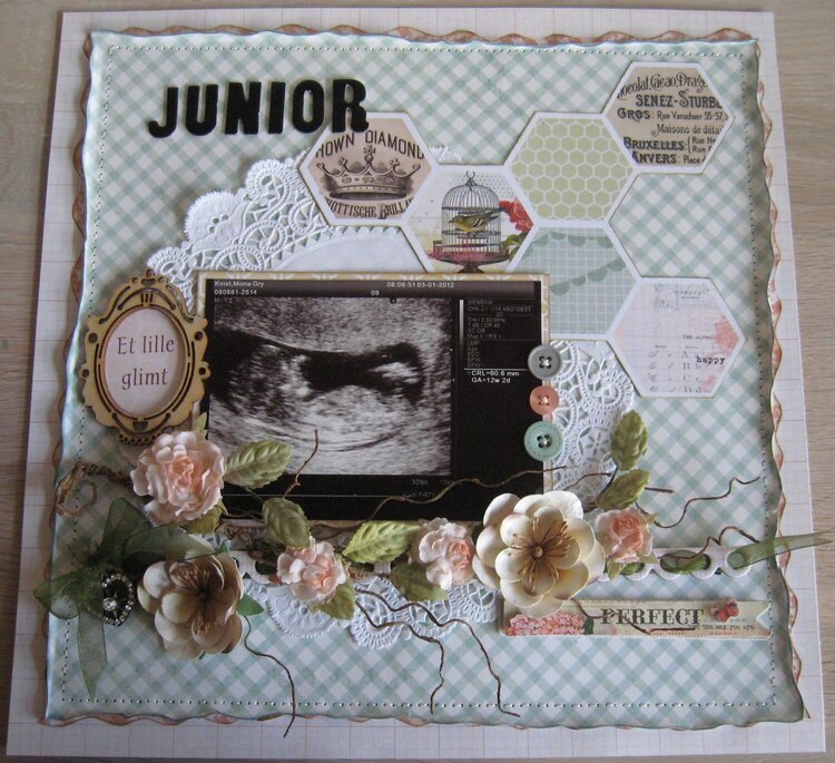 Junior  The first Glimse