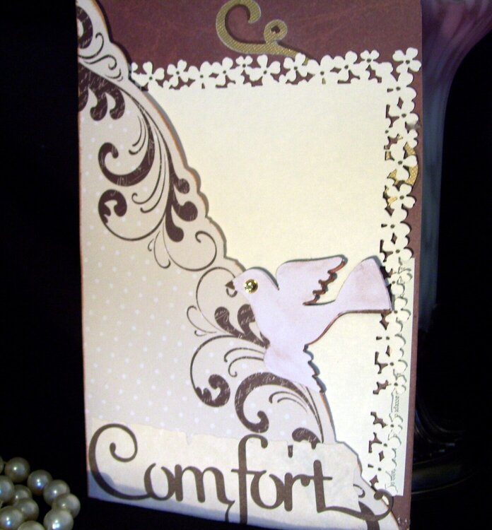 COMFORT ALL OCCASION POCKET CARD