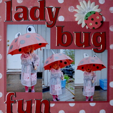 Lady Bug Fun
