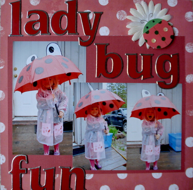 Lady Bug Fun