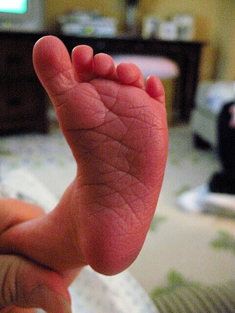 A babys Foot