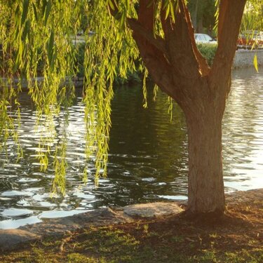 Centennial Park Nashville