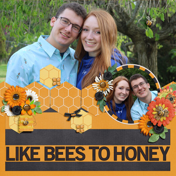 like bees to honey
