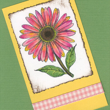 Simple Gerbera Daisy Card