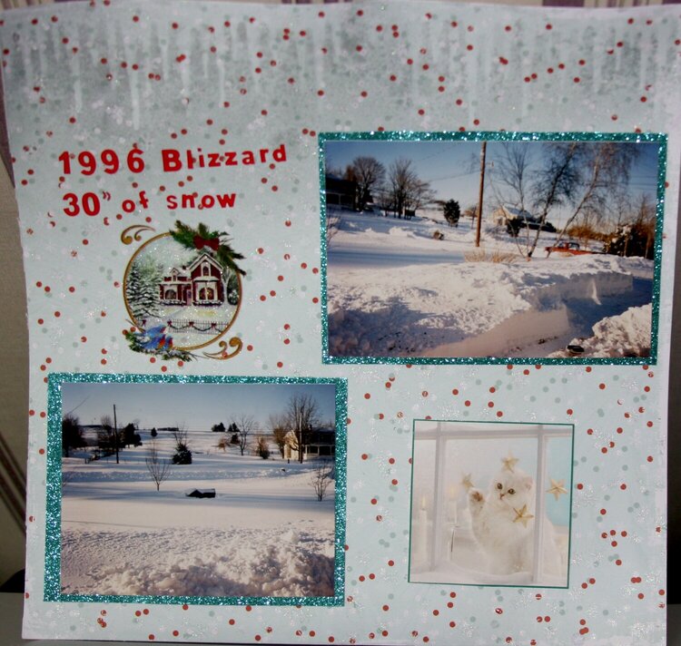 1996 Blizzard  30&quot; of snow