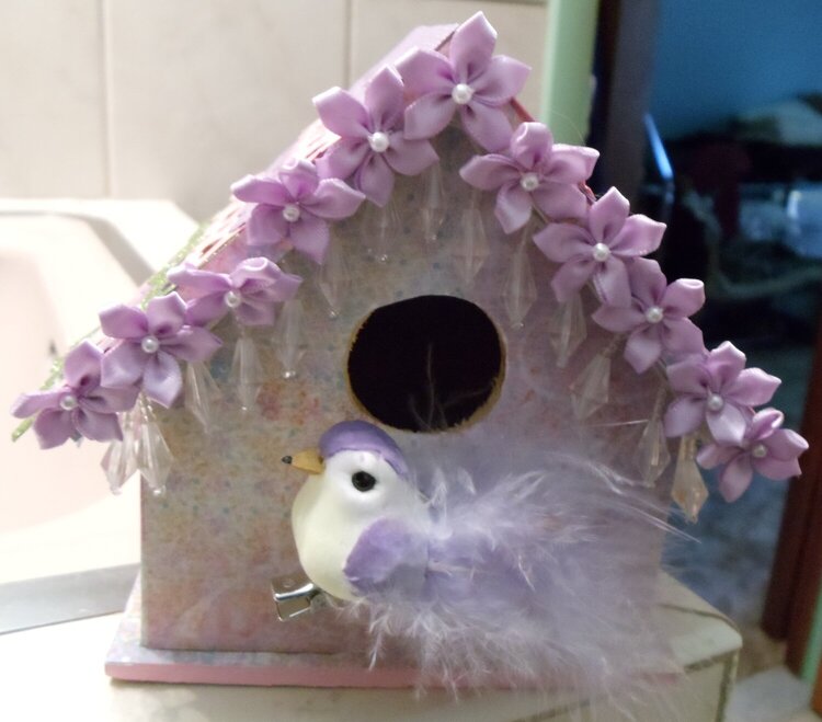 Front of Purple birdhouse