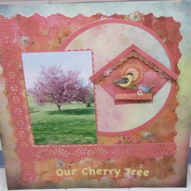 Our Cherry Tree