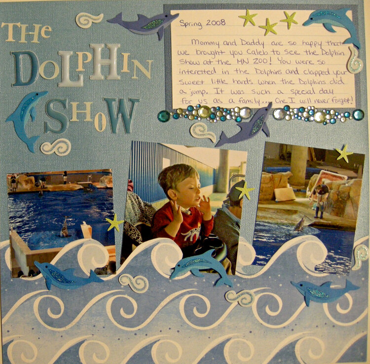 the dolphin show