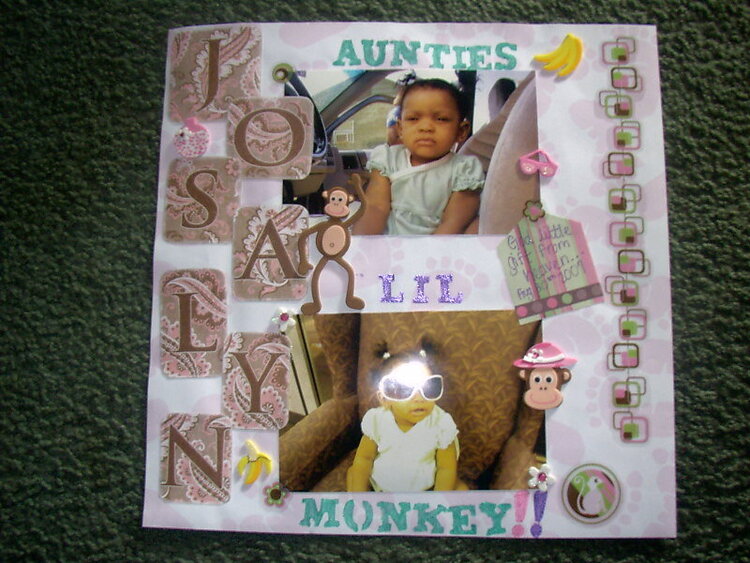 Aunties LiL Monkey