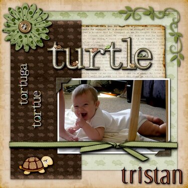 Turtle Tristan