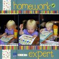 Homework Expert