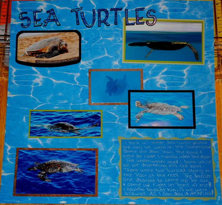Honu Sea turtles