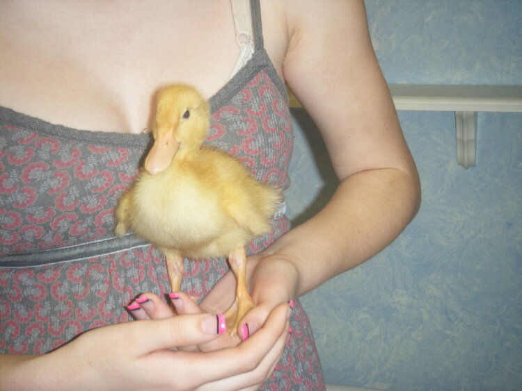wittle ducky!  :)