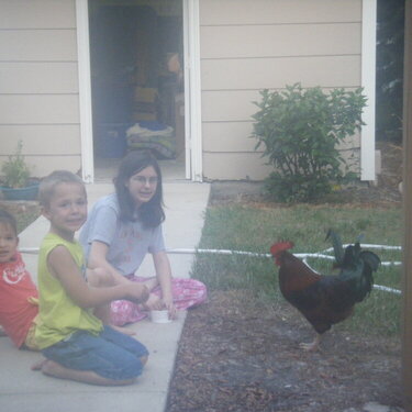 3 KIDS AND A ROOSTER