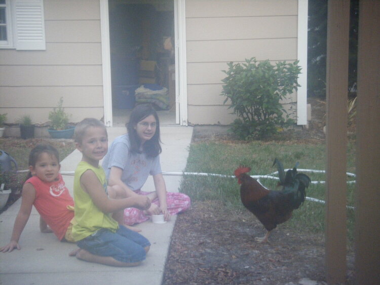 3 KIDS AND A ROOSTER