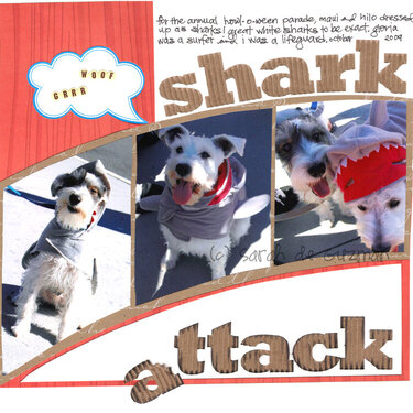 Shark Attack