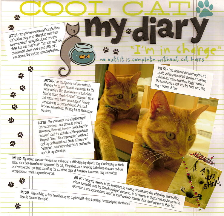 Cool Cat - My Diary