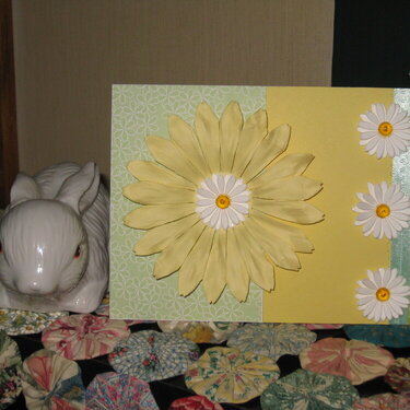 Yellow &amp; White Flowers