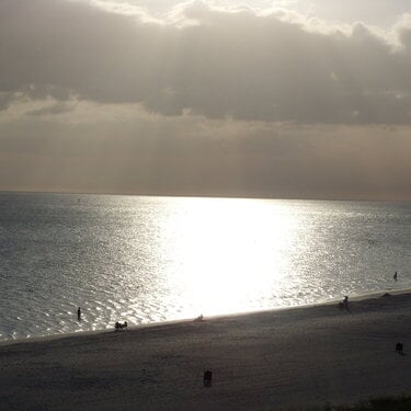 Sunset on lido beach