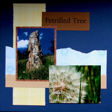 Petrified Tree
