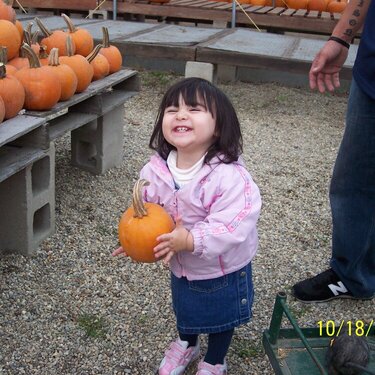 The perfect Pumpkin