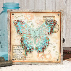 Butterfly Specimen Canvas