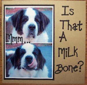 Is That A Milk Bone?
