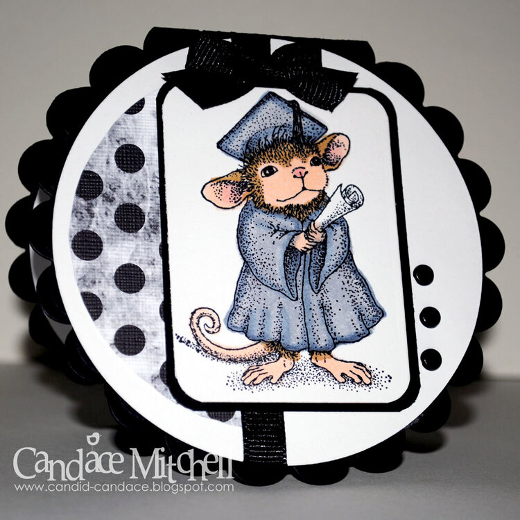 Mouse Graduate