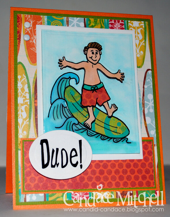 Surf&#039;s Up, Dude!