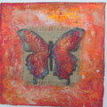 Butterfly Canvas