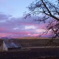 Sunset over barn