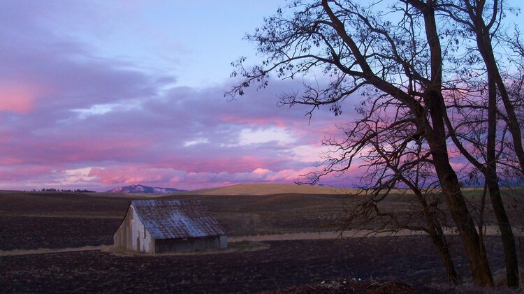 Sunset over barn