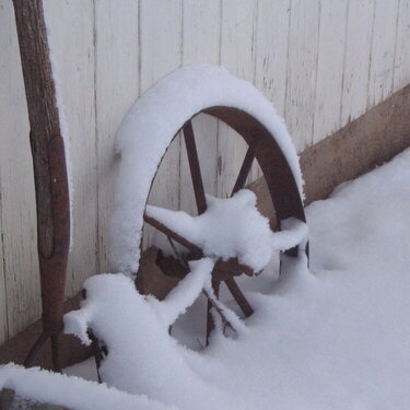 Winter Wheel