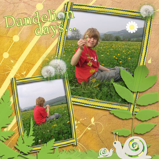 Dandelion days