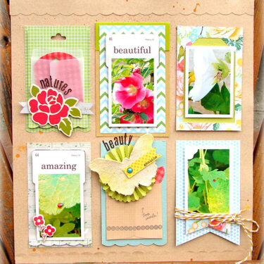 Nature&#039;s beauty *Hip 2 B Square* February kit