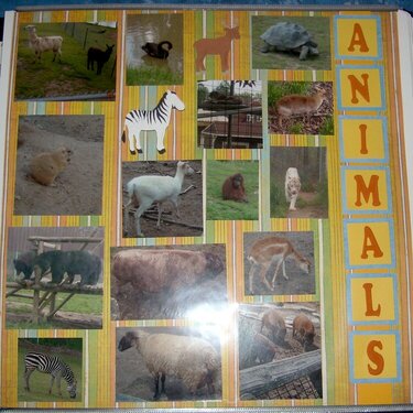 Zoo Animals Page 2
