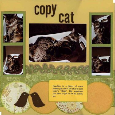 copy cat