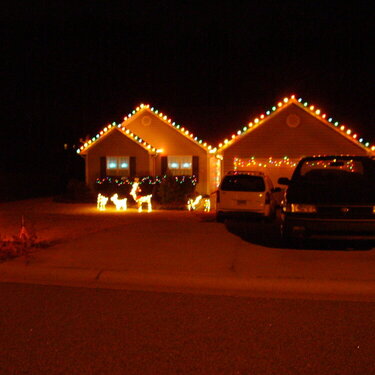 #8 - Outside Christmas Lights {9pts}