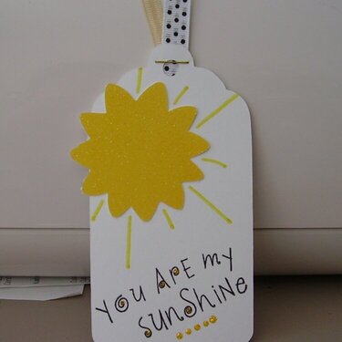 Sunshine Tag