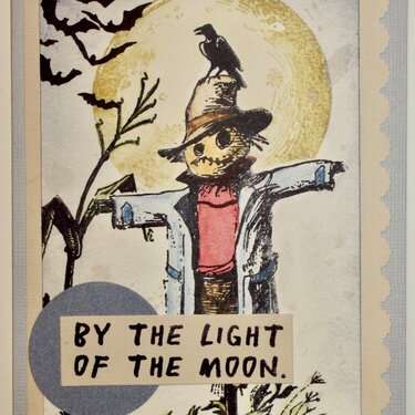 By the light of the moon