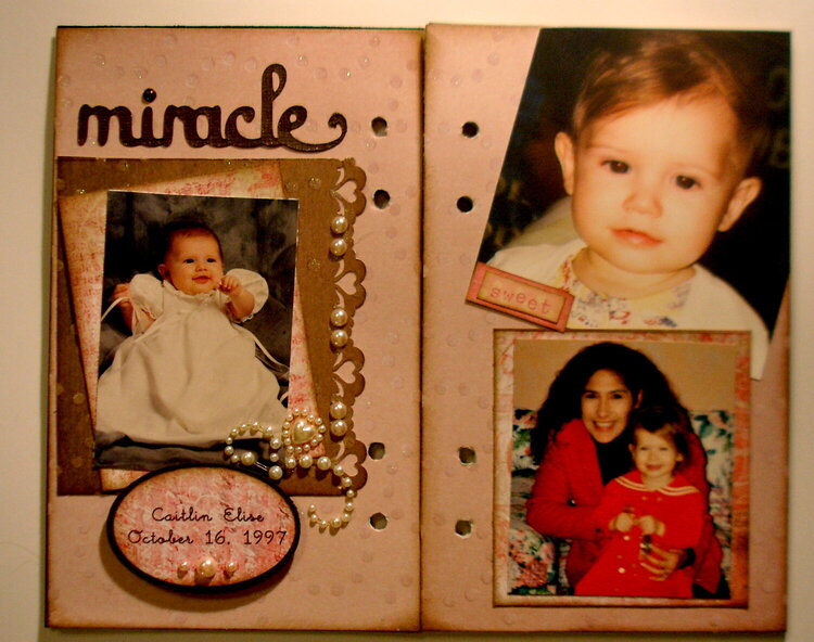 Page 2-3 Altered Book