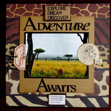 Adventure Awaits-African Safari