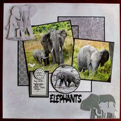 Elephants 2