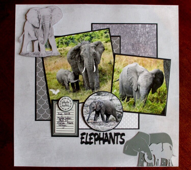 Elephants 2