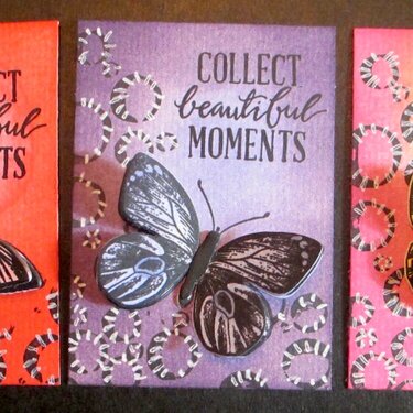 Collect Beautiful Moments/Butterfly