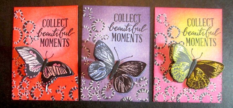 Collect Beautiful Moments/Butterfly